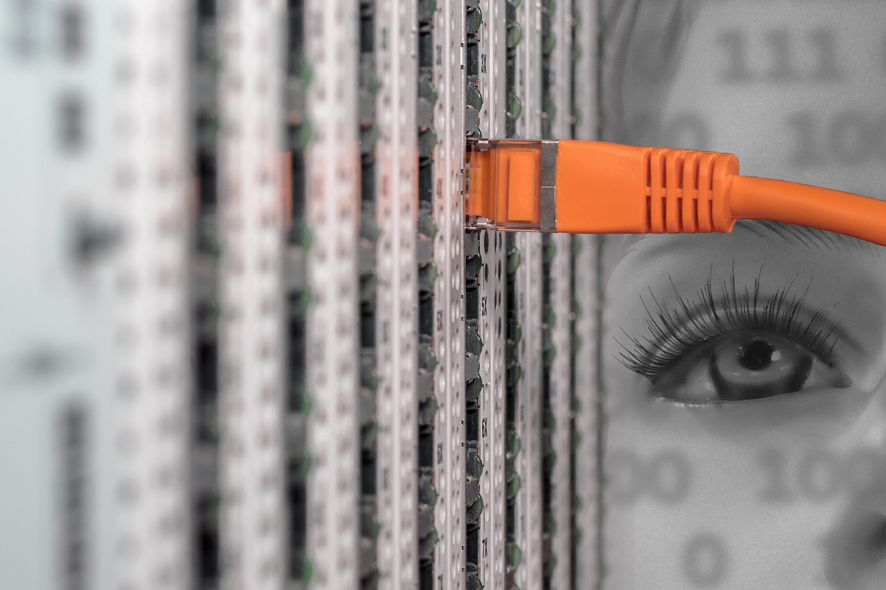 Lees meer over het artikel De compacte 10 inch patchkast, ideale server case oplossing bij ruimtegebrek!
